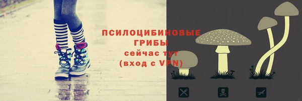 метадон Коряжма
