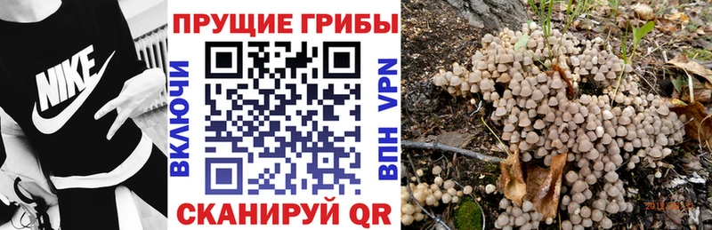 где найти   KRAKEN вход  Галлюциногенные грибы мицелий  Лиски 